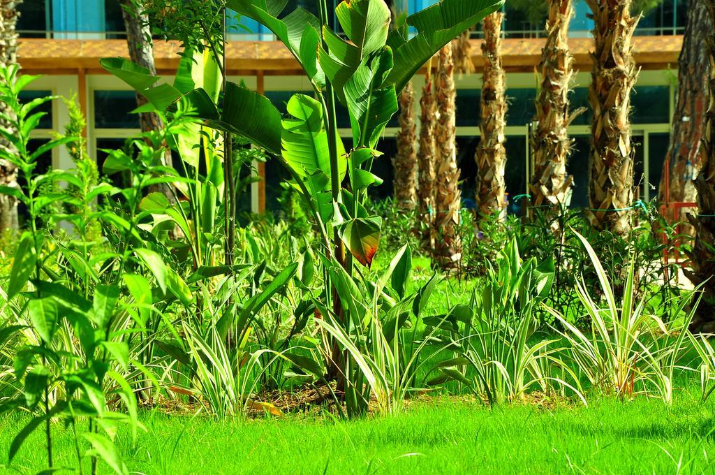 Maya World Hotel All Inclusive Σιντέ Εξωτερικό φωτογραφία
